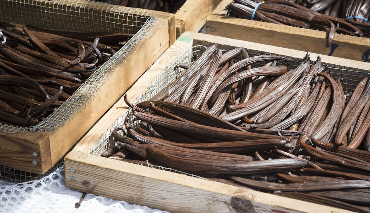 vanilla pods